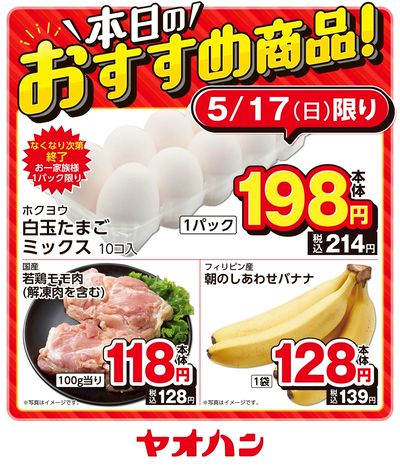 本日のおすすめ商品!