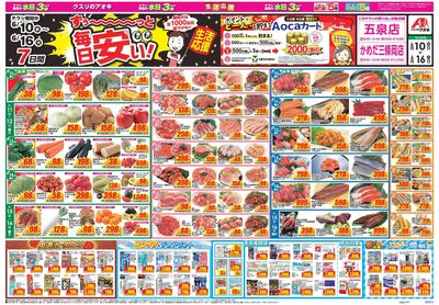 6月10日開始チラシ:表