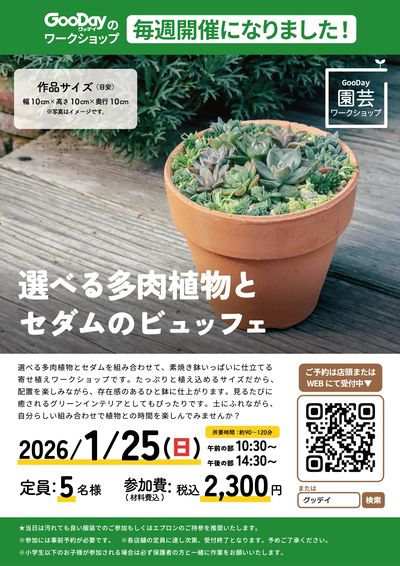 【1月25日開催】寄せ植えワークショップ 選べる多肉植物と セダムのビュッフェ