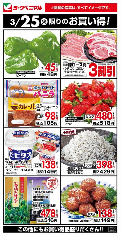 3/25限りのお買い得!