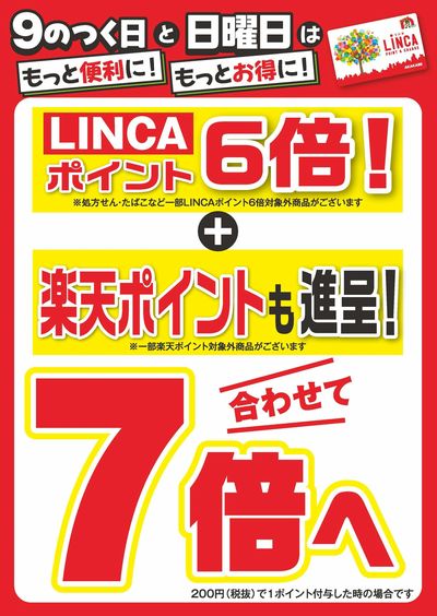 ポイントデー案内!