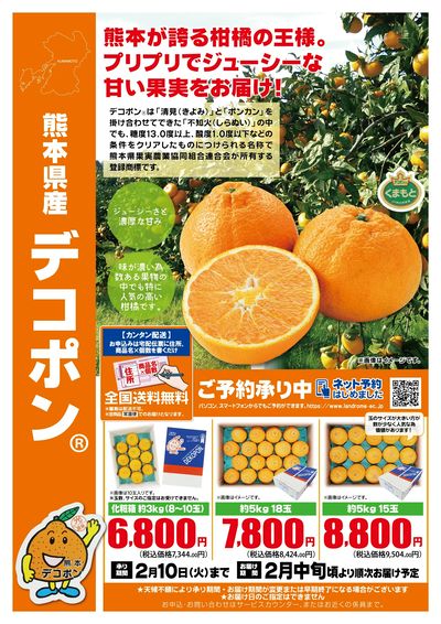 産直ギフト_デコポン