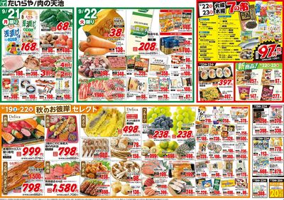 9/19(土)~9/22(火)(裏)