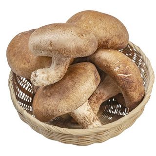 国内産 生椎茸 1パック