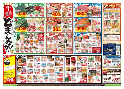 12/13号 生鮮どまんなか!