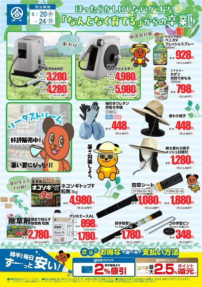 夏の園芸