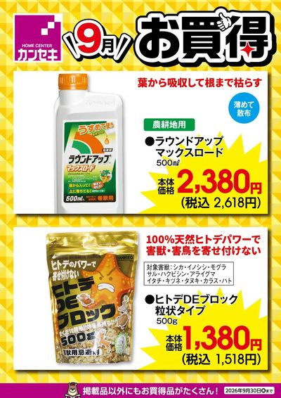 9月のお買得!