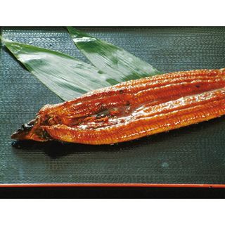 中国産 うなぎ蒲焼き 1尾