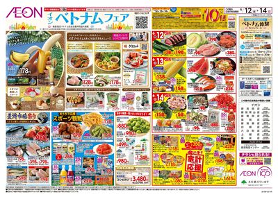 6/12号 ベトナムフェア:表面