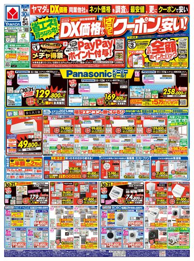 DX価格から、さらにクーポンで安い!(おもて)
