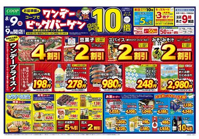 ワンデービッグバーゲン オモテ