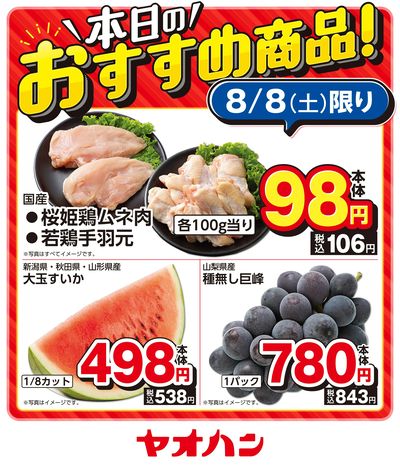 本日のおすすめ商品!