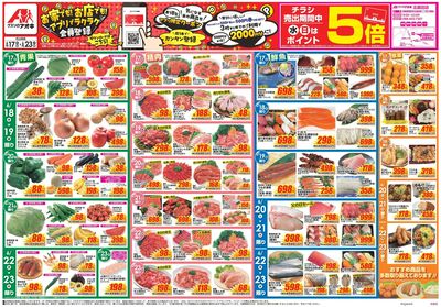 6月17日開始チラシ:表