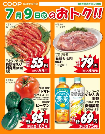 7月9日お買得品