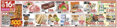 11/16(日)限定