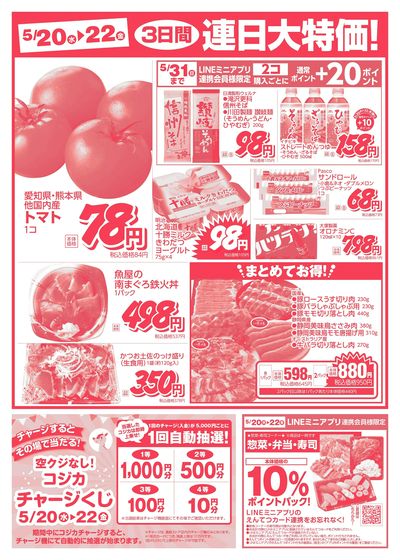 湖西店・大人見店・大平台店・桜台店・フードワン泉店・三ヶ日店・豊川店・豊橋曙店・初生店チラシ
