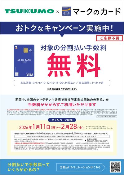 イオンカード分割手数料ゼロキャンペーン 2601