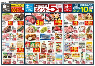 8/27~30 肉フェス・コープフェア_ウラ