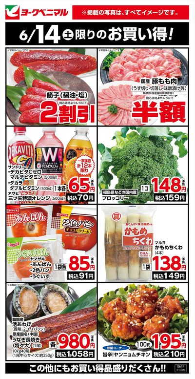 6/14限りのお買い得!