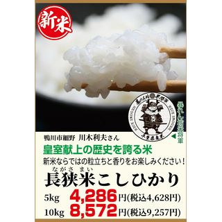 長狭米こしひかり5kg