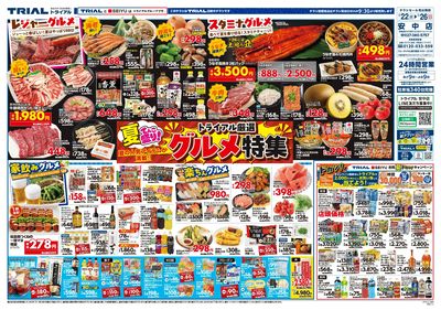 トライアル 安中店_表