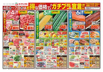 8/4号 オモテ