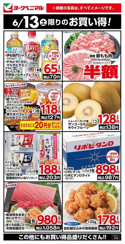 6/13限りのお買い得!