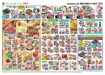 0910号-茨城裏