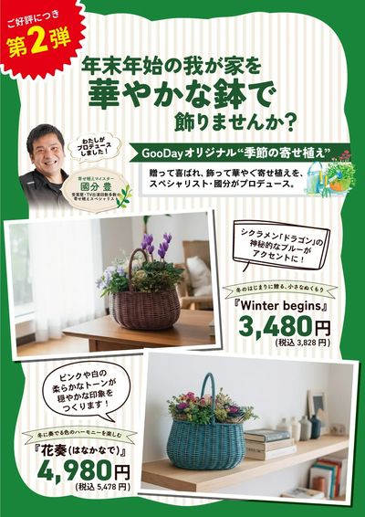 GooDayオリジナル 季節の寄せ植え