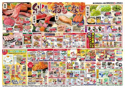 0922号-茨城裏