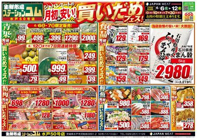 6/6号