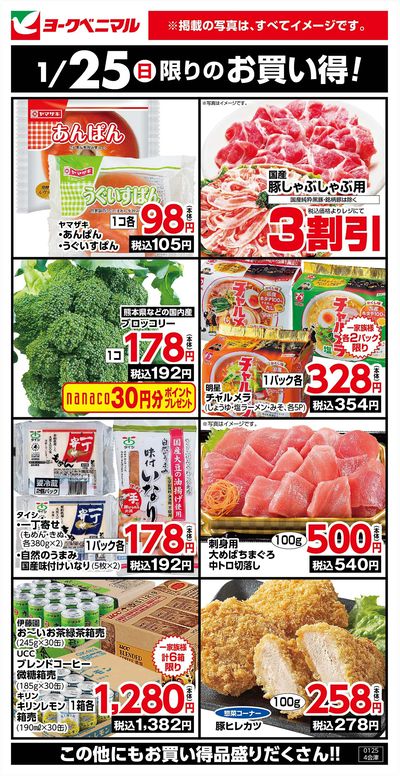 1/25限りのお買い得!