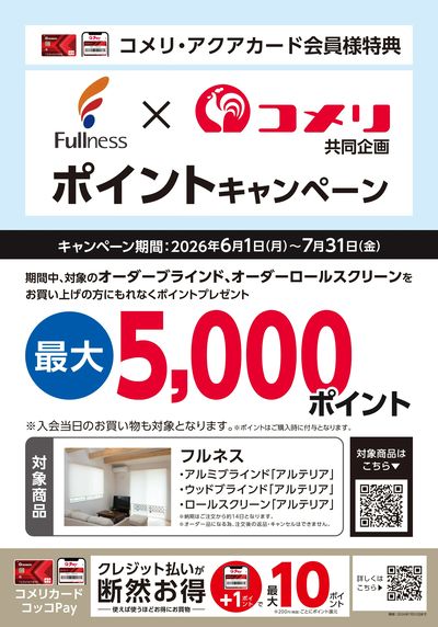 フルネス ポイントキャンペーン