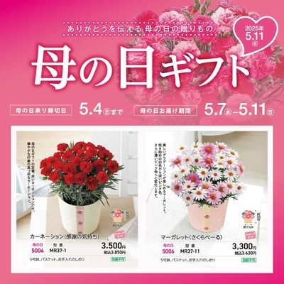 母の日④