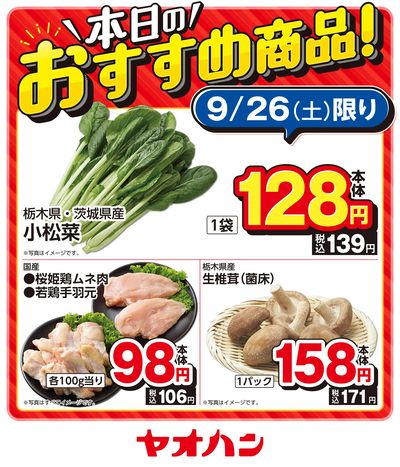 本日のおすすめ商品!