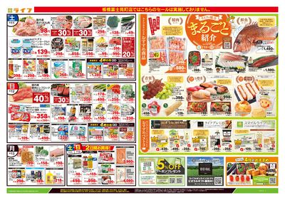 4/11号 ライフの魅力まるごと紹介