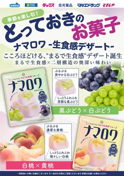 お菓子新商品ナマロワ