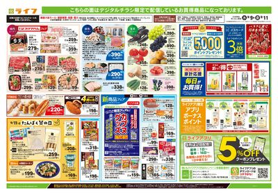 9/9号 均一セール/重陽の節句