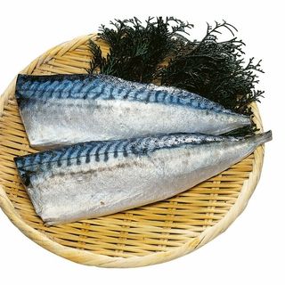 大サイズ 国内産 塩サバフィーレ 2枚入
