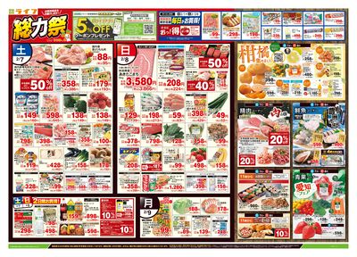 2/7号 総力祭/柑橘集めました