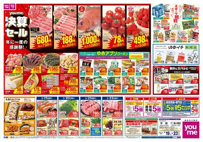 2/19号 週末チラシ