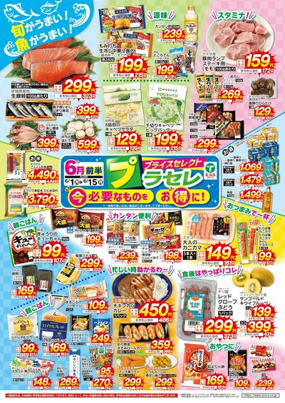 6月前半プライスセレクト