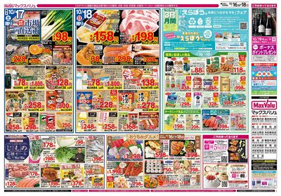 10/16号 すこやかカメさんデー/えらぼう企画:ウラ