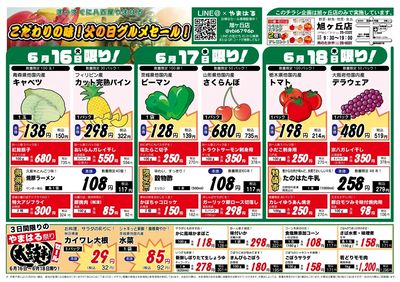 旭ヶ丘店仮_表面B4_20260616