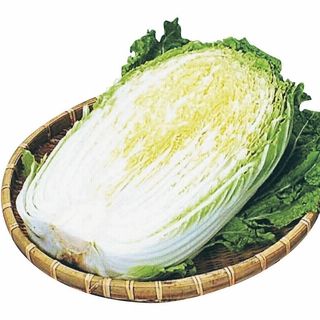 宮崎産又は鹿児島産他 白菜 1/2カット