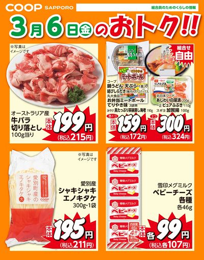 3月6日お買得品