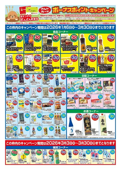 マルトカード ボーナスポイントキャンペーン(ウラ)