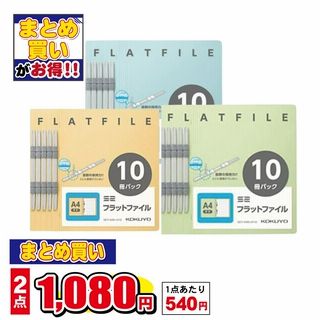 フラット ファイルA4S