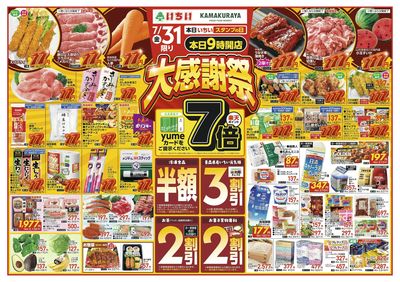 7/31(金)限定