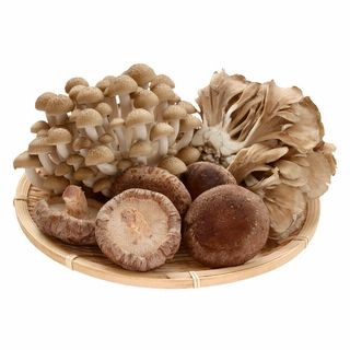 新潟産 きのこセット 1パック